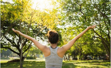 Kaneel als antioxidanten supplement